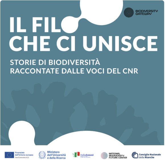 Copertina del podcast Il filo che ci unisce